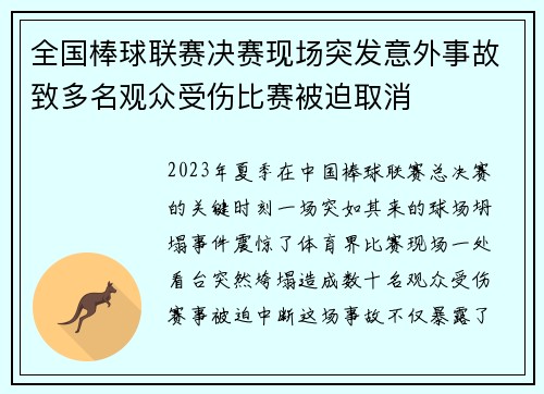 全国棒球联赛决赛现场突发意外事故致多名观众受伤比赛被迫取消